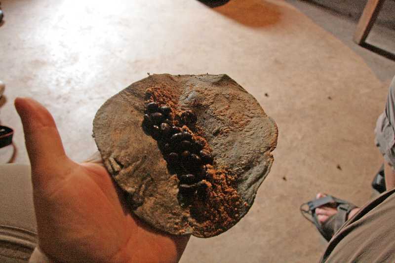 Mexico & Guatemala 2010 - 0443